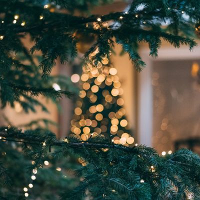 Weihnachtsstimmung Tannenbaum