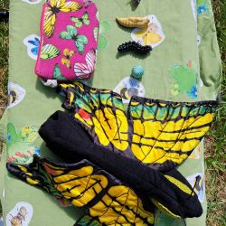 Schmetterlinge